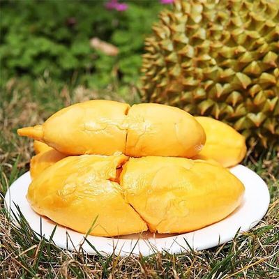 泰国金枕头巴掌榴莲新鲜带壳当季热带水果非猫山王榴莲3-4斤包邮|ms