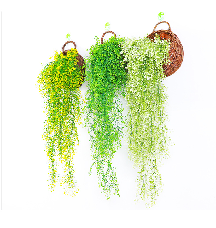 金钟柳 金钟柳壁挂