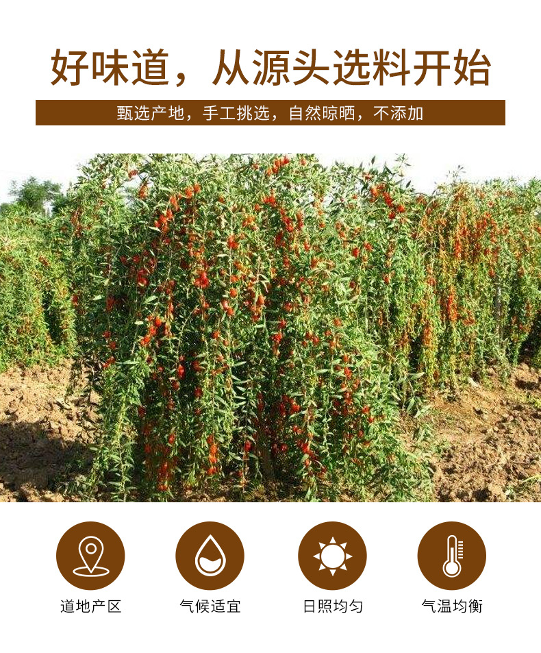 Goji Berries 300g (Lycium barbarum) — Ningxia Zhongning Dried Red Wolfberry for Tea key features