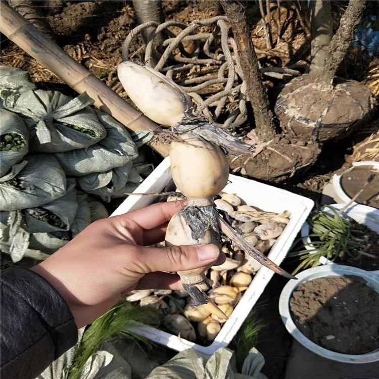 微信图片_20190924001628