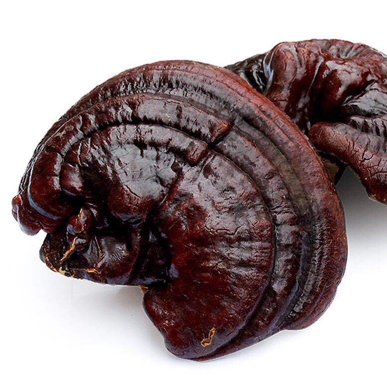 Dried Reishi Mushroom Slices Purple and Red Lingzhi from Jilin for Herbal Decoctions 500g specifications
