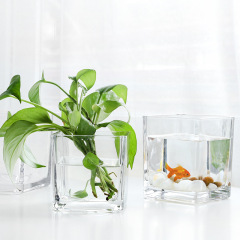 Square crystal fish tank planter multi-purpose square tank transparent glass vase wholesale lucky bamboo hydroponics shipping one piece dropshipping