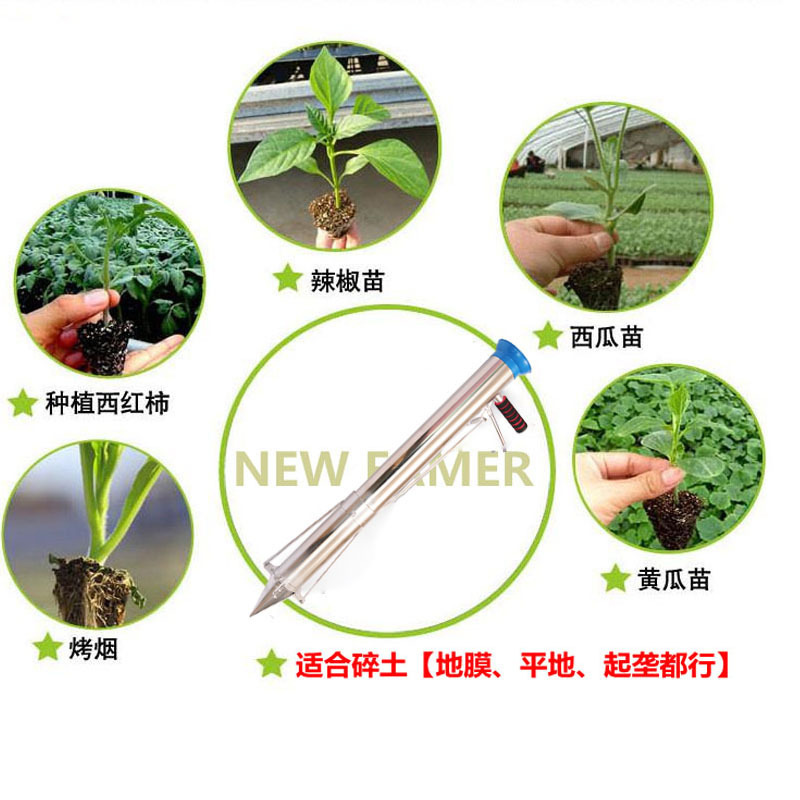 8580997032_1560987882