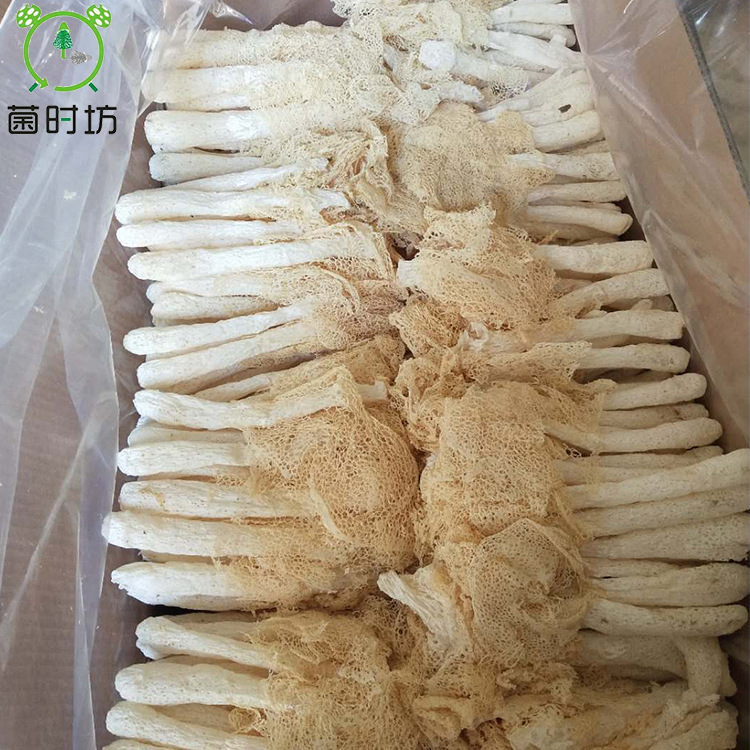 Dictyophora dry cargo Furuta Mushroom Dictyophora dried food 50g Dress dried food 20 Supplying bags Origin