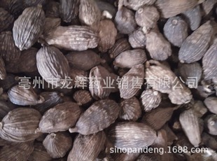 ���l�������|�r�aƷֲ��ԭș������ ���NҎ��  �ݹ�