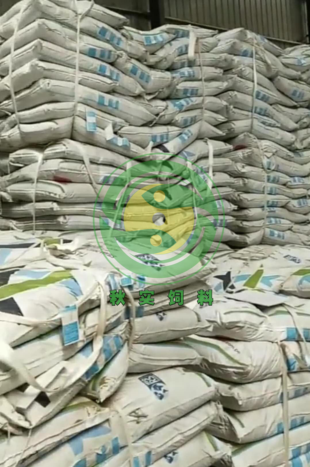 aa9059361a8c6de95e02132fa7d297