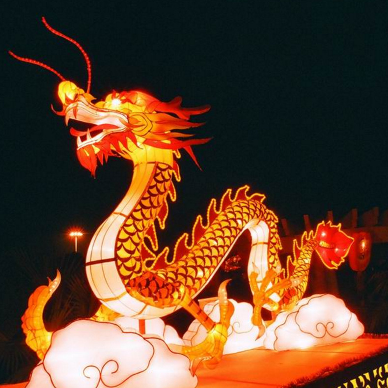 ����רҵ����������껨�� ������͵ƻ� �λõƹ�� �����װ��