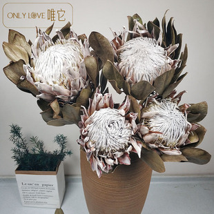 ��ϸɻ��S�����l�������ɻ��������r�����b��ƿ�b�������