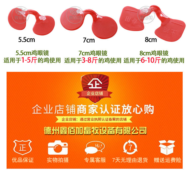鸡眼镜BB详情页 (3).jpg