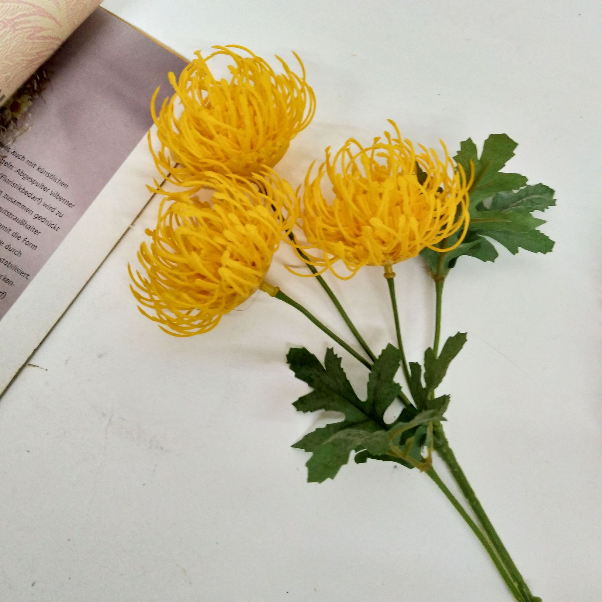 微信图片_201906061147157