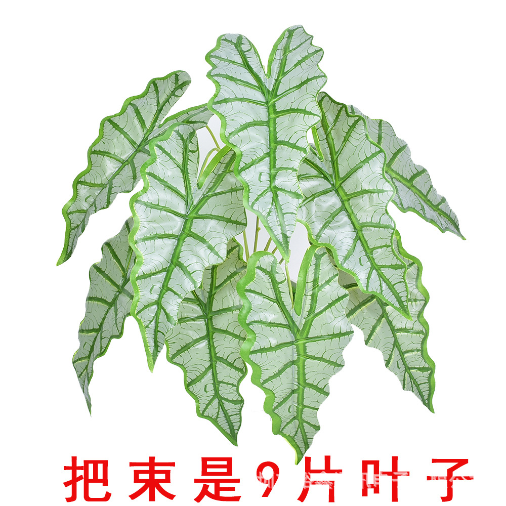 Simulation Plant Extraordinary 9 Founds White Fairy Leaves…