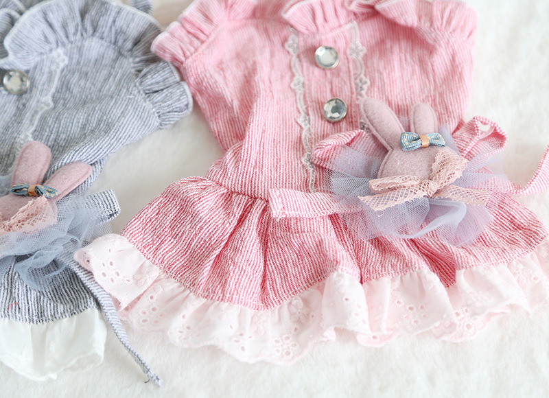 小兔花边领吊带裙