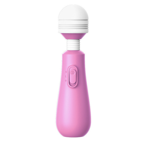 Laile tumbler female frequency conversion vibration AV portable bottle massage flirt adult fun wholesale dropshipping