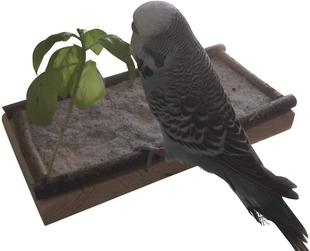 �W�^��ҧ��� �B��� ľ�|���� ʳ��