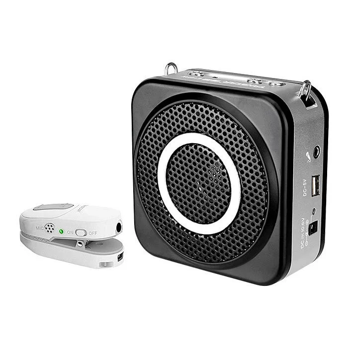 TAKSTAR/Victory E160W портативная беспроводная колонка AUX мультимедийное воспроизведение обучение руководство