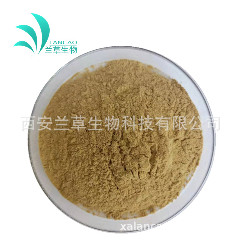 西洋参提取物 20：1 厂家现货比例提取水溶性花旗参西洋参提取物