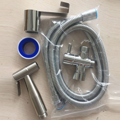 Cross-border 304 stainless steel high-pressure women's wash set American standard 7/8 seat toilet flushing nozzle pressure toilet spray gun