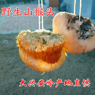 ���d���XҰ��ɽ���^Ұ�����^ ���^����؛�|���خa   500g���]