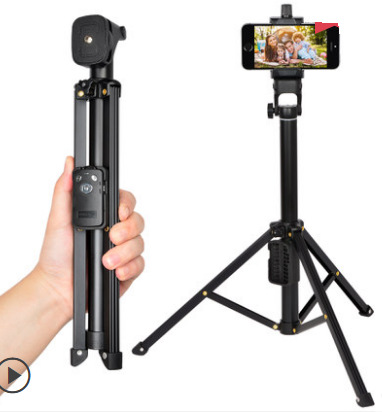 Perche selfie - Ref 3385884 Image 1