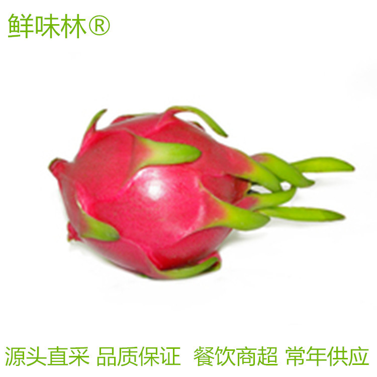 越南进口白心非红心火龙果整件净重35斤新鲜当季水果批发餐饮商超|ms