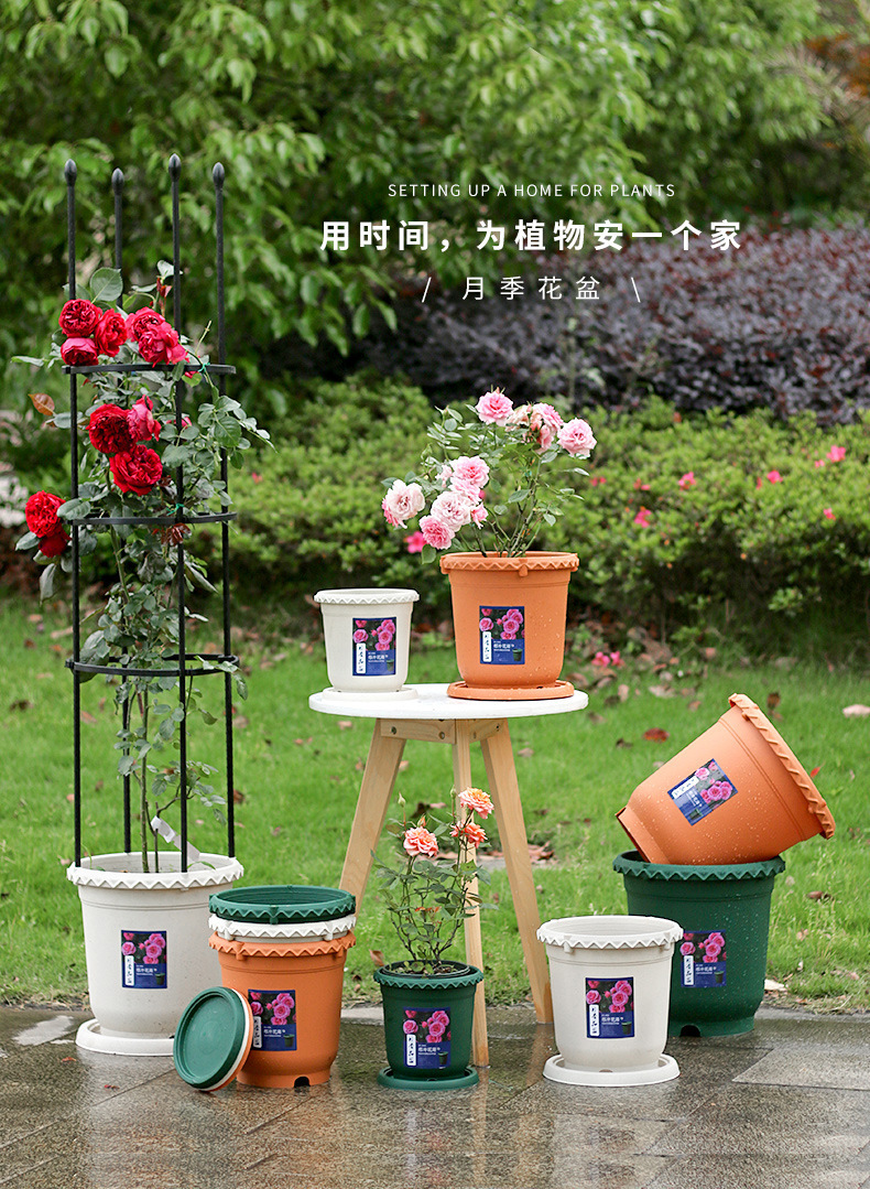 月季花盆_01.jpg