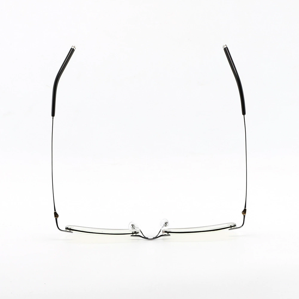 Men's glasses, 2022 collection, 802W