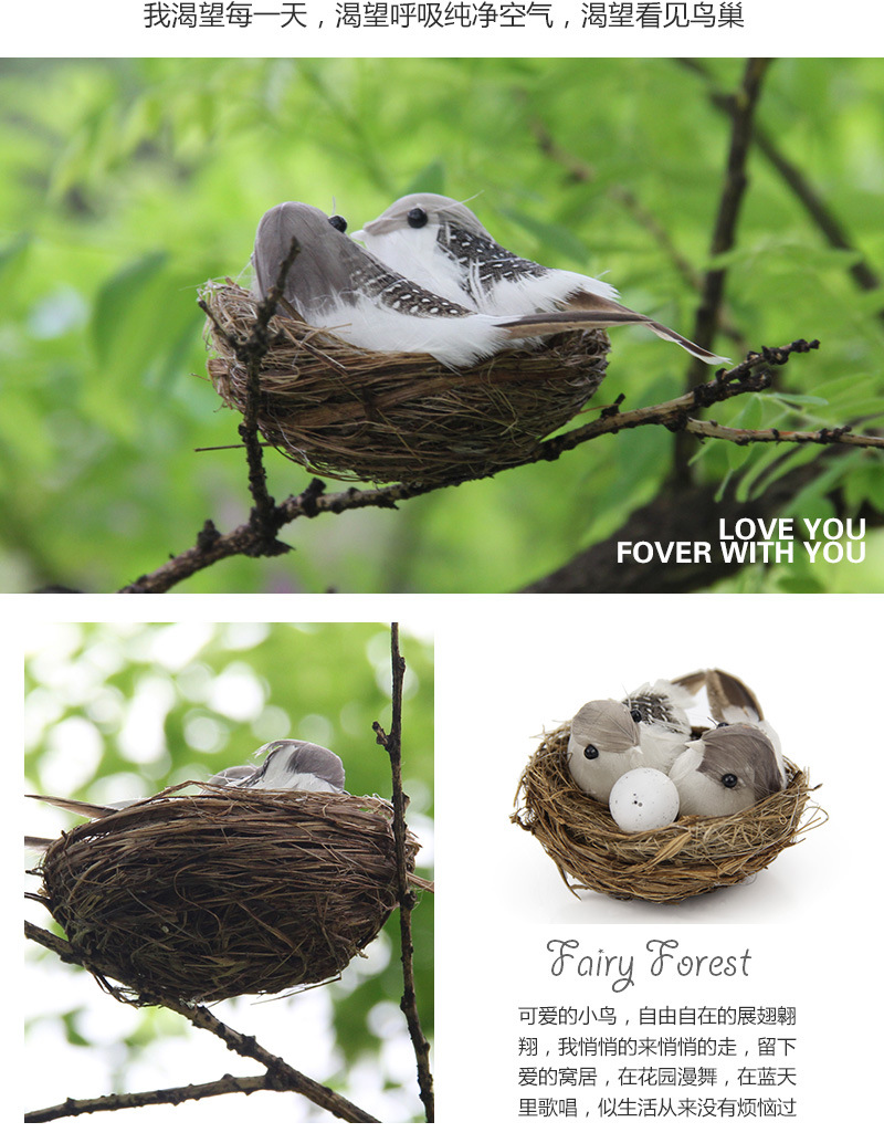 小鸟窝_03.jpg