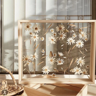 標本畫圖片 海量高清標本畫圖片大全 阿里巴巴