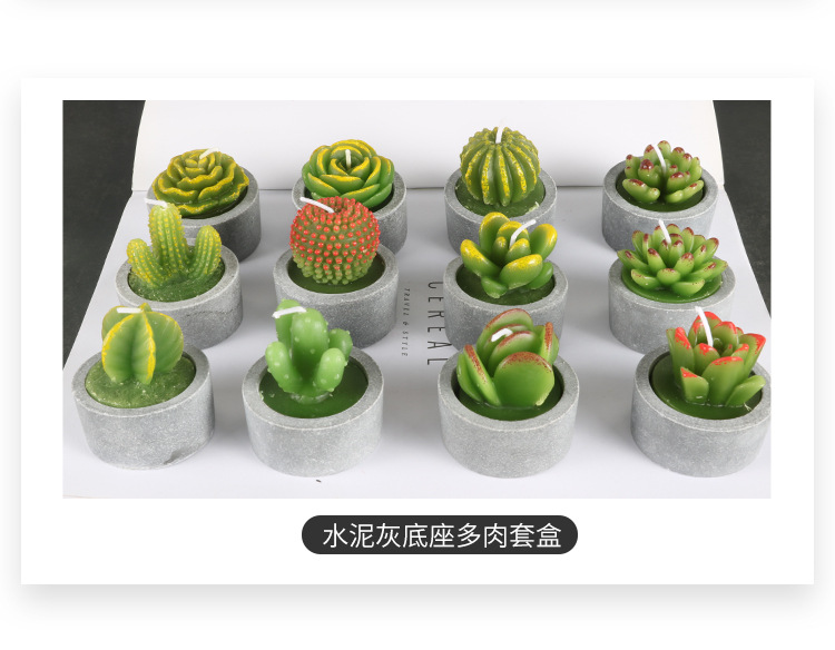 12个有底座多肉套盒_04.jpg