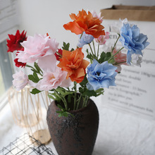 ����3����ˮ�� �F��ɏ�� ��c��ˇ�b[�� �Ҿ���оƵ�ܛ�bĵ��