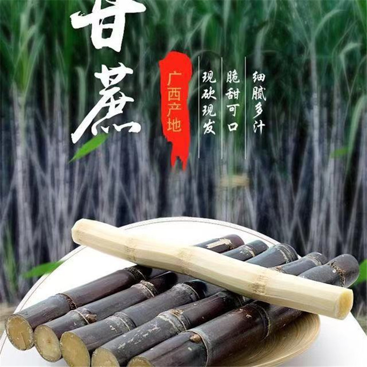广西黑皮甘蔗新鲜现砍现发净重9斤装应季水果手撕甘蔗|ms