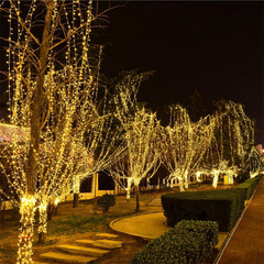 led24V低壓燈串彩燈閃燈串燈戶外防水亮化滿天星聖誕節日裝飾燈串