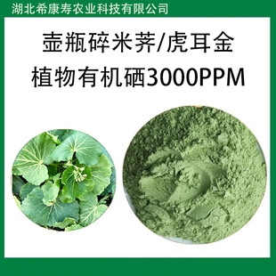 �����j�˷������� ˮ����ֲ���ЙC����ƿ���~�����j������