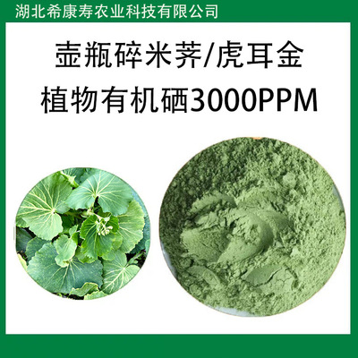 硒蛋白 水溶性硒蛋白植物有机硒活性硒壶瓶碎米荠 虎耳金荠菜