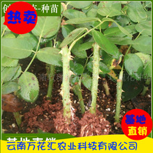 ϻܷN G¼õС rл^põ