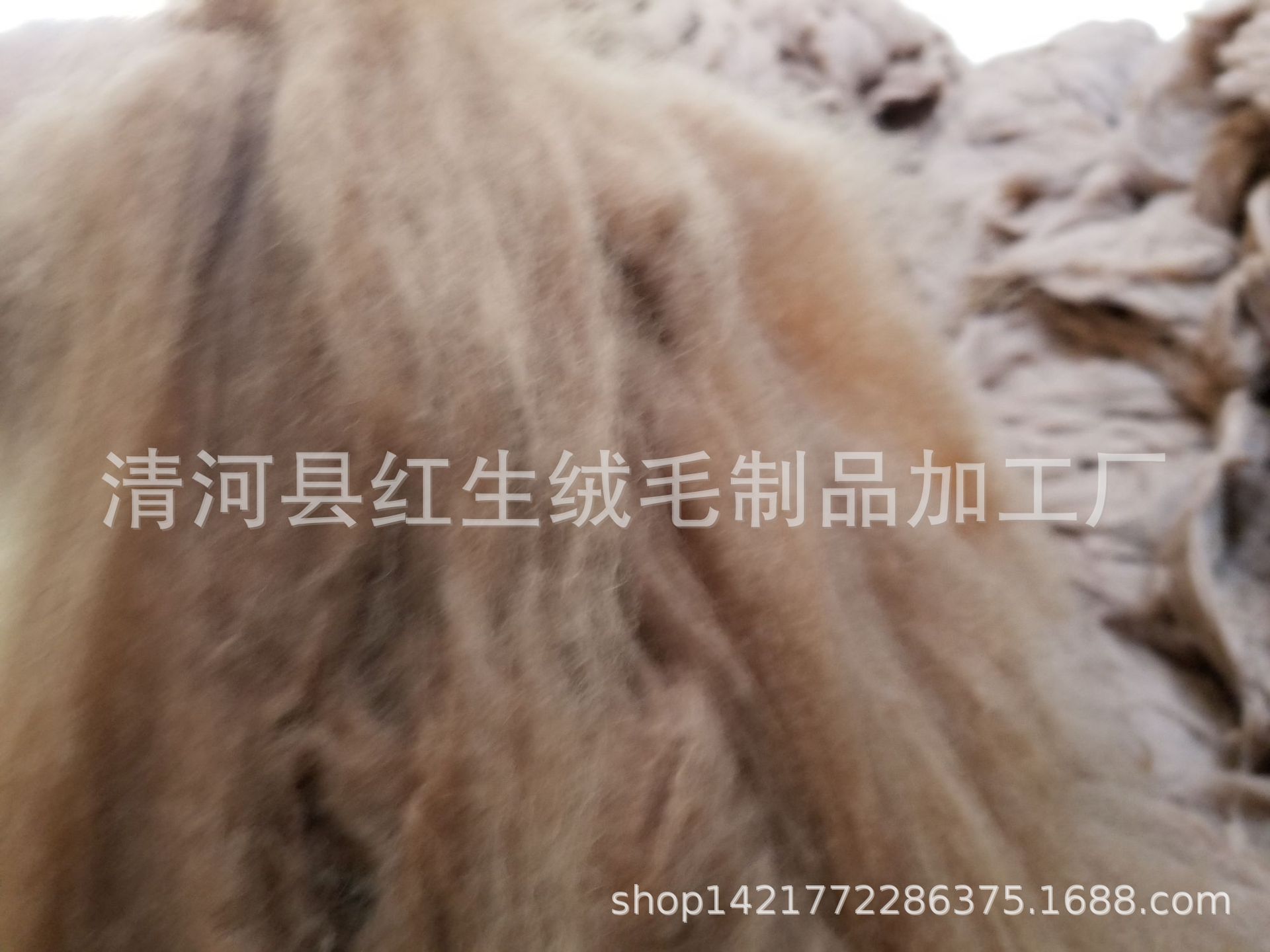 20190403_103748
