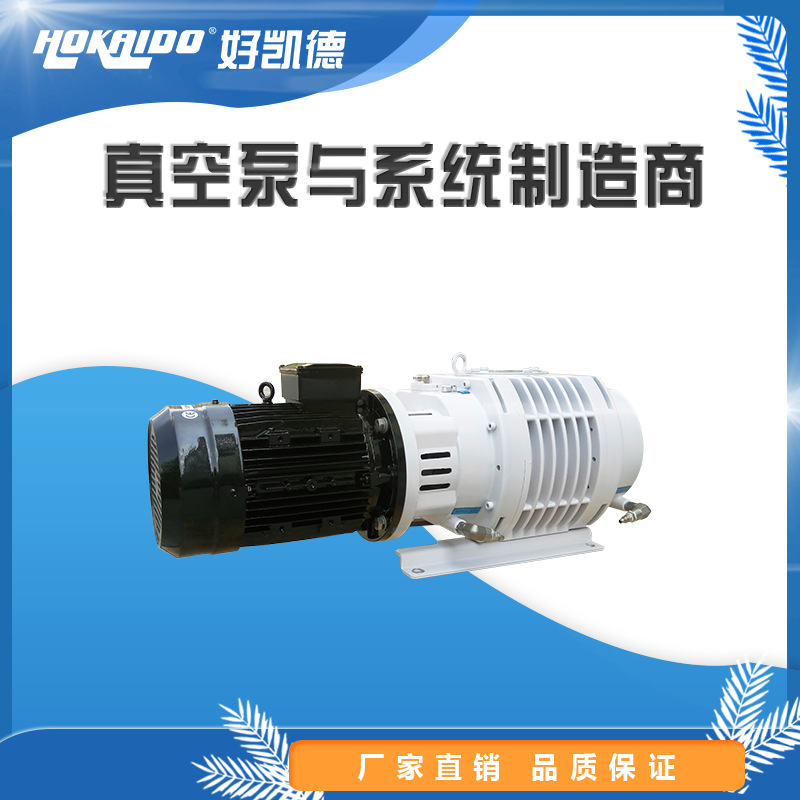 广东旋片真空泵 罗茨真空泵 产地货源