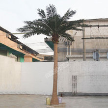 大型仿真椰子树 人造玻璃钢假棕椰树 娟布抗紫外线椰子叶绿化工程
