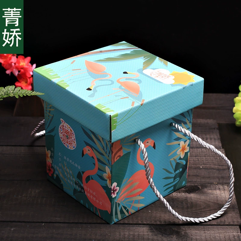 Jingjiao Moss мясистый микропейзаж готовые изделия для мужчин и женщин, друзья, Подарочная коробка, упаковка, Подарочная сумка, сумочка