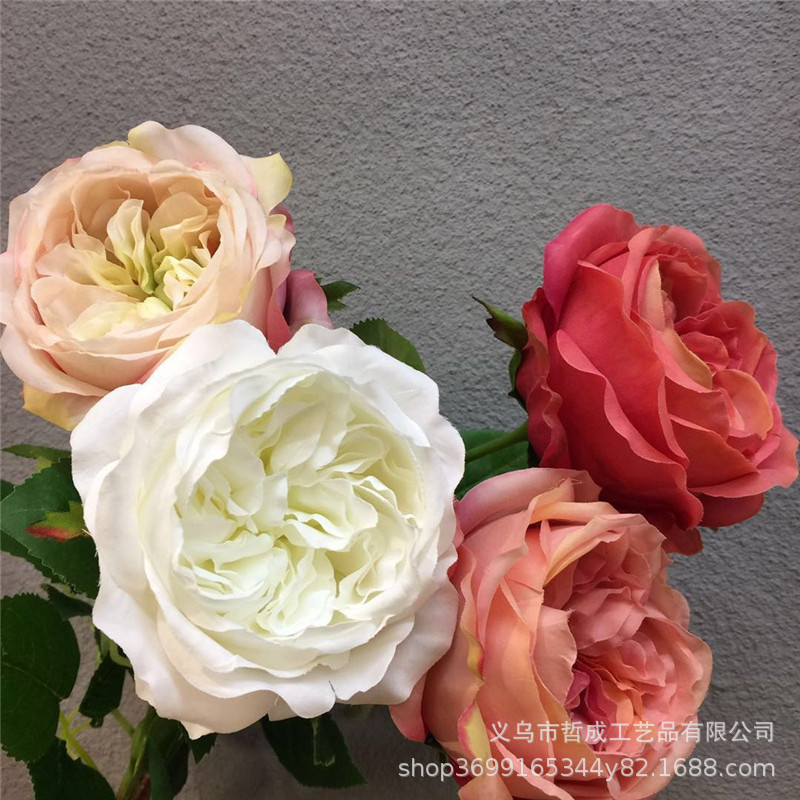 微信图片_20190215211555.jpg