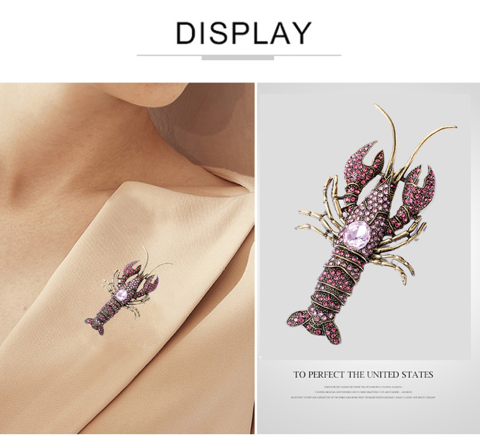 Nouveauté Homard Alliage Placage Incruster Pierres Précieuses Artificielles Unisexe Broches display picture 2