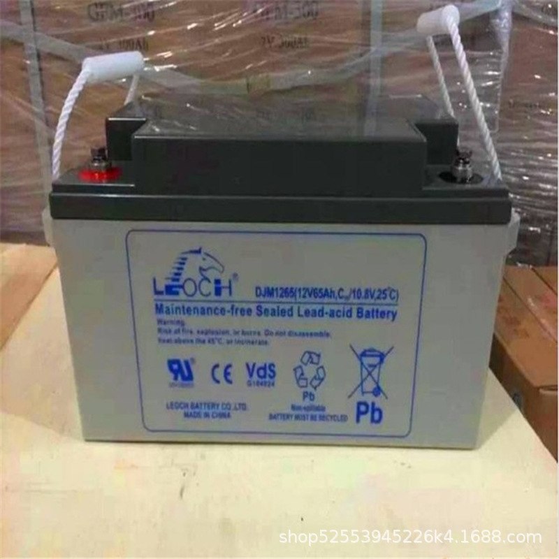 leoch理士DM1265 12v65ah免维护蓄电池 理士厂家直销包邮