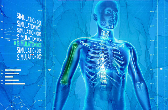 human-body-simulation-1