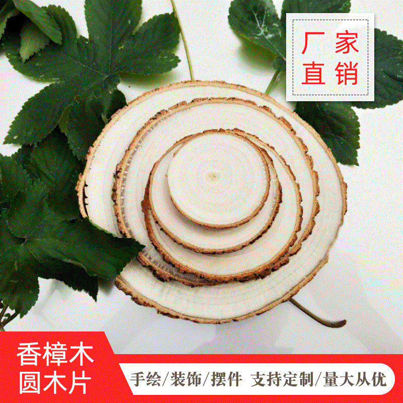 https://cbu01.alicdn.com/img/ibank/2019/900/214/12530412009_92349638.jpg