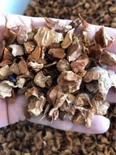 ���l���~�ߴ��ľ����ɼ�N����ľ���������ɺ�߅�G��ˮ���ɘ�ɼ��