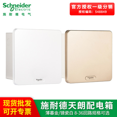 施耐德天朗配电箱白色/金色8~36位回路配电箱单排/双排可选强电箱