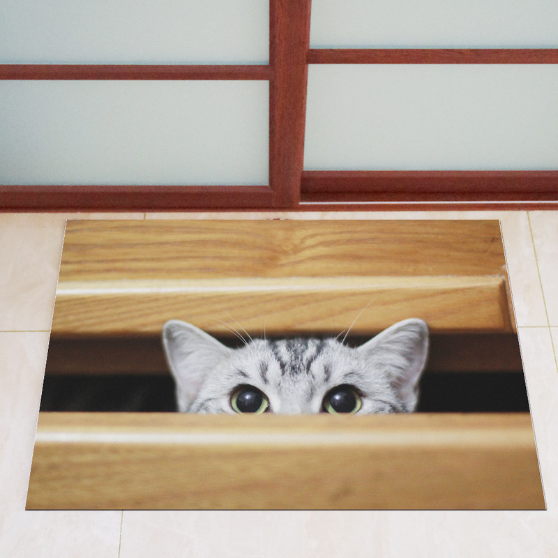 Breathable bag absorbent non-slip home rubber door mat Bathroom Kitchen foot cleaning carpet floor mat ultra-thin non-Carmen cat