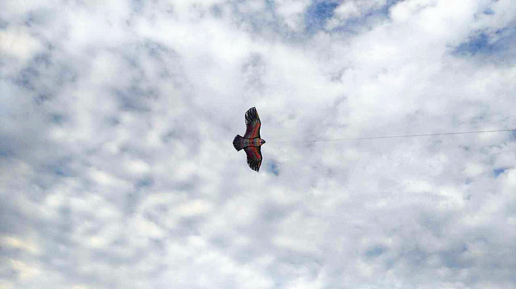 TB2cAAkXDsX61Bjy0FjXXXUaFXa_!!