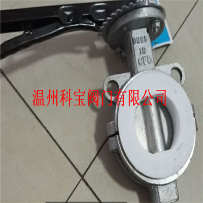 两段式对夹蝶阀 衬氟 Cr18Ni8 正304材质 D371F-16P