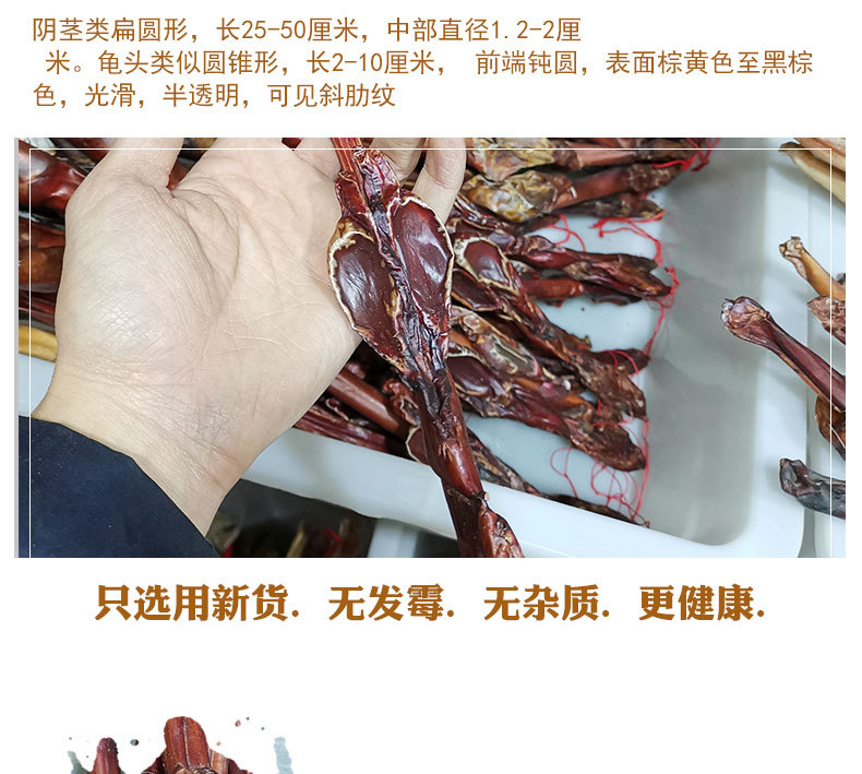 Deer Penis (Cervus elaphus) Whole Branch — Dried TCM Food Herb, Bulk Wholesale key features